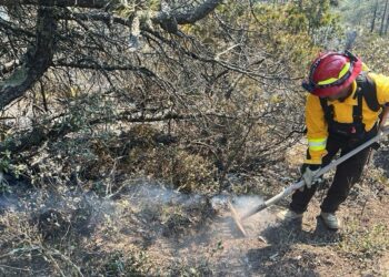 Refuerza Gobierno de Tamaulipas acciones coordinadas para el control de incendio forestal en Miquihuana