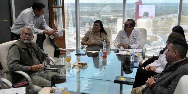 Respalda gobierno estatal aprovechamiento forestal bajo marco legal