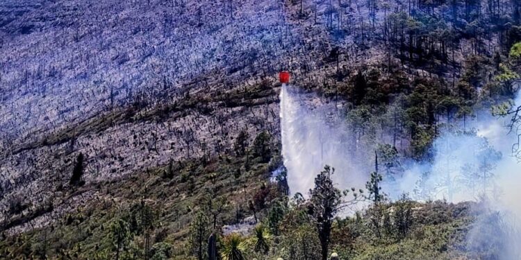 Avanza al 70 por ciento el control del incendio forestal “Puerto del Volcán” en Miquihuana