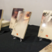 Con amplia oferta editorial CONARTE estará presente en Santiago Lee