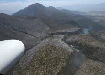 Continúan labores para el control y liquidación de incendio forestal en el Cerro El Tepozán
