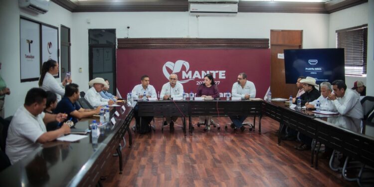 Coordinan Estado y Federación apoyos para fortalecer la producción de caña en Tamaulipas