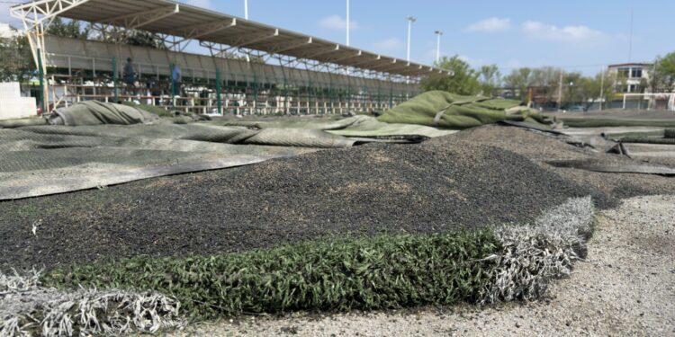 Inicia la rehabilitación de la cancha Enrique Borja de Ciudad Victoria