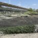 Inicia la rehabilitación de la cancha Enrique Borja de Ciudad Victoria