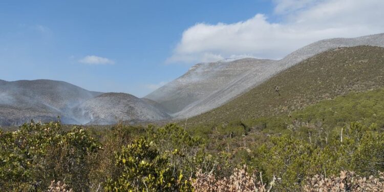 Inician labores de combate en incendio forestal en el ejido Joya de Herrera, Bustamante