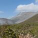 Inician labores de combate en incendio forestal en el ejido Joya de Herrera, Bustamante