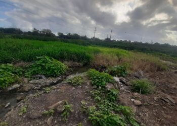 Interviene la PAUT ante presunto relleno de la Laguna Tierra Negra de Madero