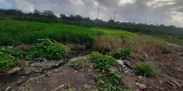 Interviene la PAUT ante presunto relleno de la Laguna Tierra Negra de Madero