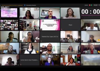 Llama Guadalupe Taddei Zavala a construir una democracia paritaria plena, incluyente y libre de violencia contra las mujeres