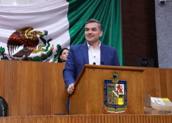 Mauro Guerra propone regular relleno de embalaje en productos electrónicos