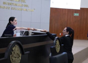 Busca diputada tipificar omisión de pensión alimenticia como violencia económica en Tamaulipas