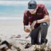 Preparan operativos en playas por arribo de tortugas durante Semana Santa