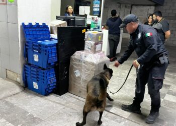 Realiza Agrupamiento Canino de la Guardia Estatal operativo para detectar narcóticos en Central de Autobuses