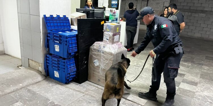Realiza Agrupamiento Canino de la Guardia Estatal operativo para detectar narcóticos en Central de Autobuses