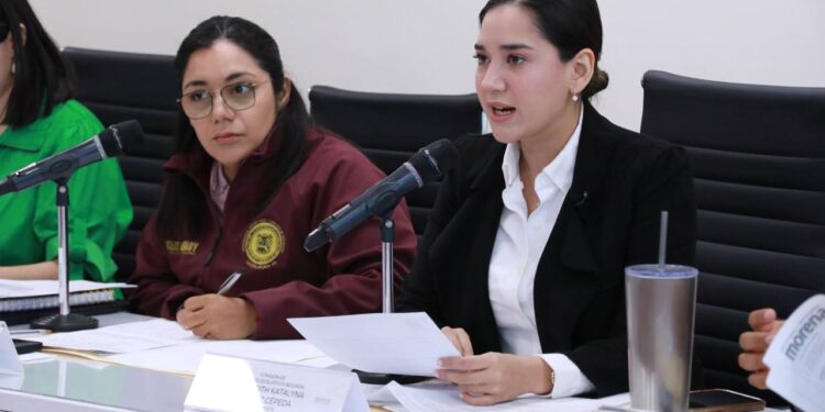 Reformas legislativas buscan proteger a las mujeres frente a agresiones en entornos digitales