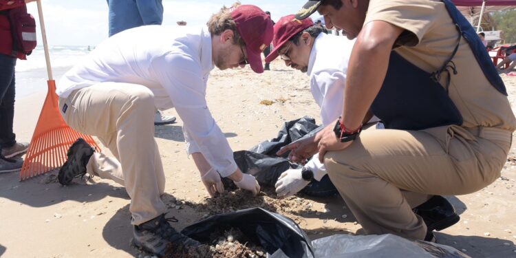 Refuerza Tamaulipas limpieza de playas por presencia de hidrocarburos