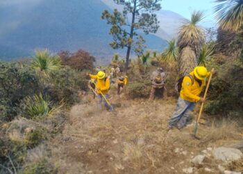 Refuerzan operativo interinstitucional para combatir incendio forestal en Miquihuana