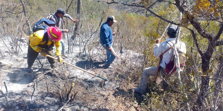 Reporta gobierno de Tamaulipas avance del 90% en control de incendio forestal en Jaumave