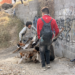 Sacan voluntarios “llanterío” del Río Santa Catarina
