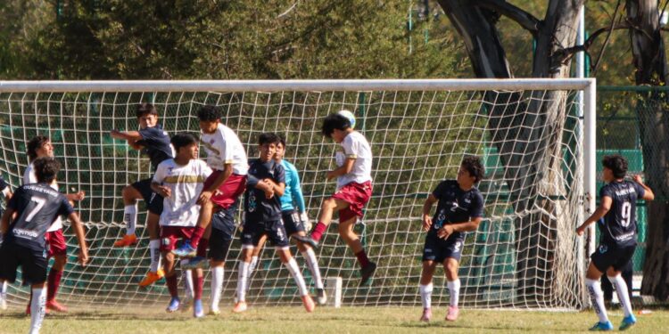 Avanza Tamaulipas a la final de fútbol de la Olimpiada Nacional 2026