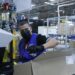 Golpea cierre de maquiladoras empleo en Tamaulipas; activan estrategia de atención laboral