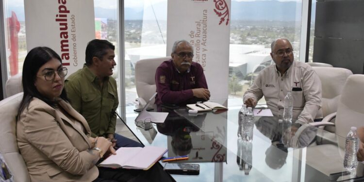 Estructura Tamaulipas proyecto para elevar la producción de carne de calidad
