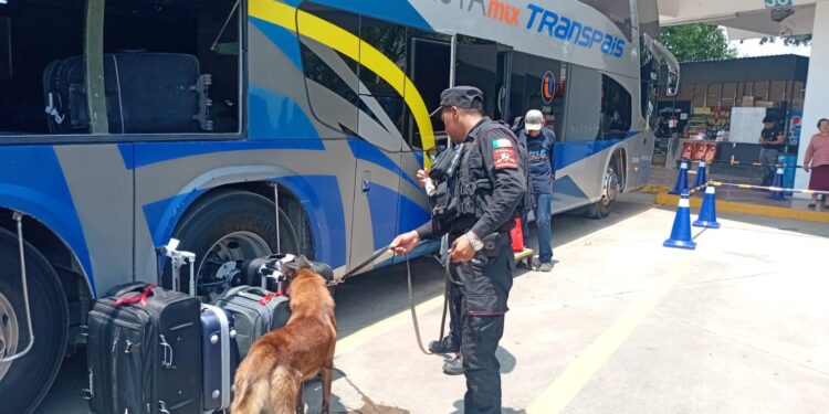 Fortalece Guardia Estatal vigilancia en central de autobuses