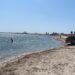 Mantiene Tamaulipas vigilancia activa en playas