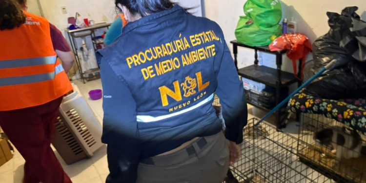 Nueva División Ambiental rescata 13 felinos en condiciones críticas de maltrato en Juárez