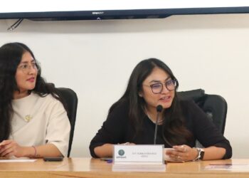 Impulsa Morena “Ley Alina” para reconocer legítima defensa de mujeres víctimas de violencia
