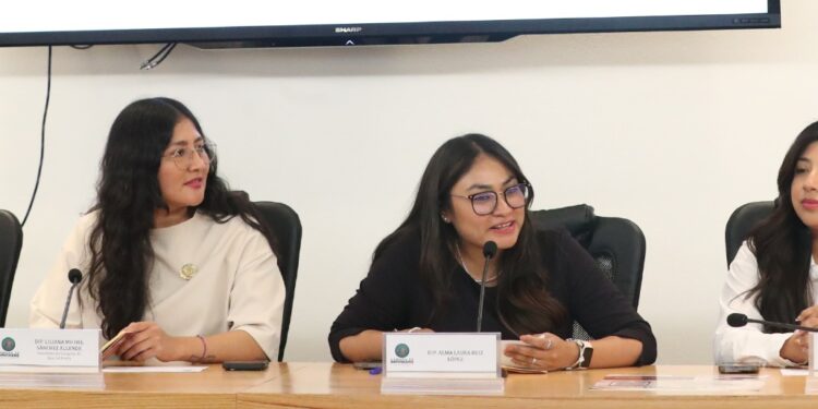 Impulsa Morena “Ley Alina” para reconocer legítima defensa de mujeres víctimas de violencia