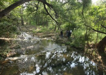 Realiza Gobierno de Tamaulipas diagnóstico ambiental en el río San Marcos