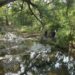 Realiza Gobierno de Tamaulipas diagnóstico ambiental en el río San Marcos
