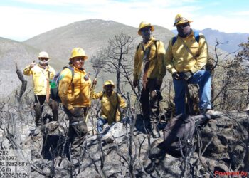 Refuerza Tamaulipas  estrategia interinstitucional contra incendios forestales