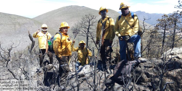 Refuerza Tamaulipas estrategia interinstitucional contra incendios forestales