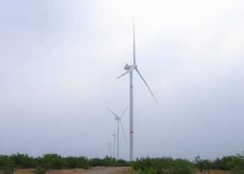 Incrementará Tamaulipas más de 2500 MW con proyectos eólicos