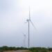 Incrementará Tamaulipas más de 2500 MW con proyectos eólicos