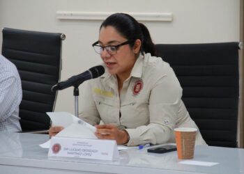Congreso impulsa revisión de banquetas amarillas y mayor claridad en restricciones de estacionamiento