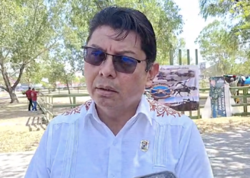 Vender autos regularizados puede generar problemas legales