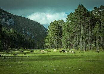 Tamaulipas prepara nuevos miradores para impulsar el turismo