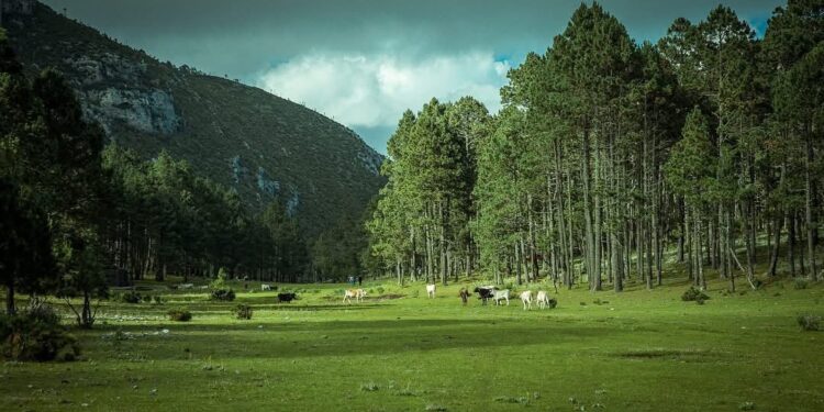 Tamaulipas prepara nuevos miradores para impulsar el turismo