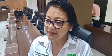 Verde esperará acuerdos nacionales para definir coaliciones y candidaturas en Tamaulipas
