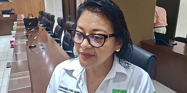 Verde esperará acuerdos nacionales para definir coaliciones y candidaturas en Tamaulipas