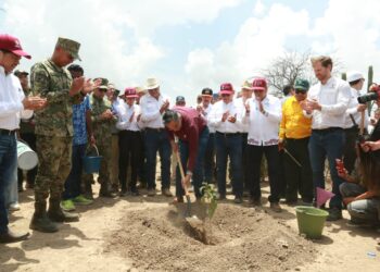 Tamaulipas participa en Jornada Nacional de Reforestación; se plantarán 15 mil árboles: Américo