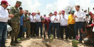 Tamaulipas participa en Jornada Nacional de Reforestación; se plantarán 15 mil árboles: Américo