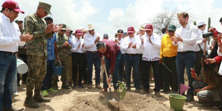 Tamaulipas participa en Jornada Nacional de Reforestación; se plantarán 15 mil árboles: Américo