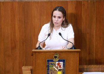 Congreso pide auditar al IMA por contratos de arrendamiento de camiones