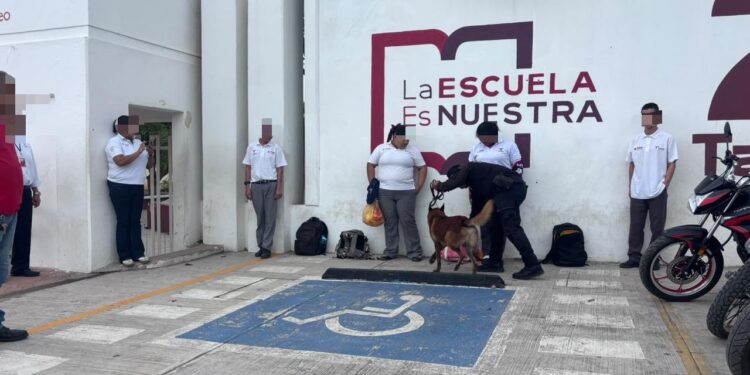 Llevan revisión canina antidrogas al ITACE de Victoria